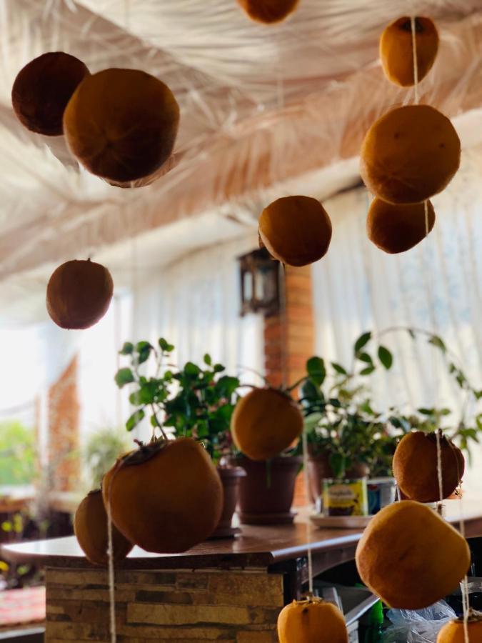 Family Mini-Hotel Martirosyan'S And Tours Γιερεβάν Εξωτερικό φωτογραφία